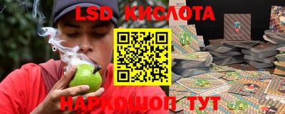 ПСИЛОЦИБИНОВЫЕ ГРИБЫ Краснодар